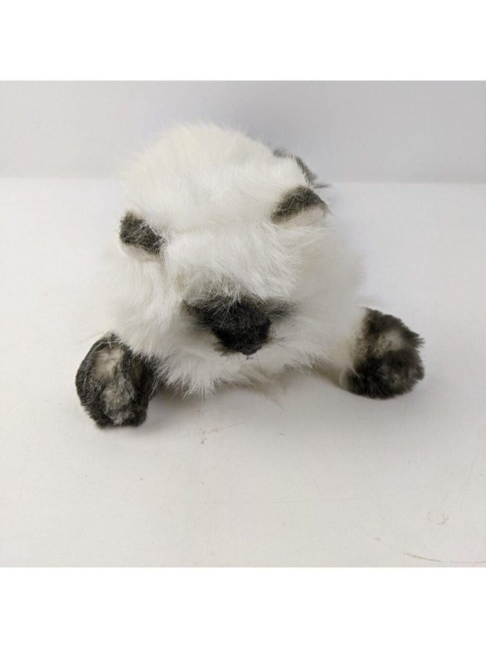TY Classic ANGEL the Himalayan Cat 14 Inch Plush Stuffed Animal Toy No Swing Tag